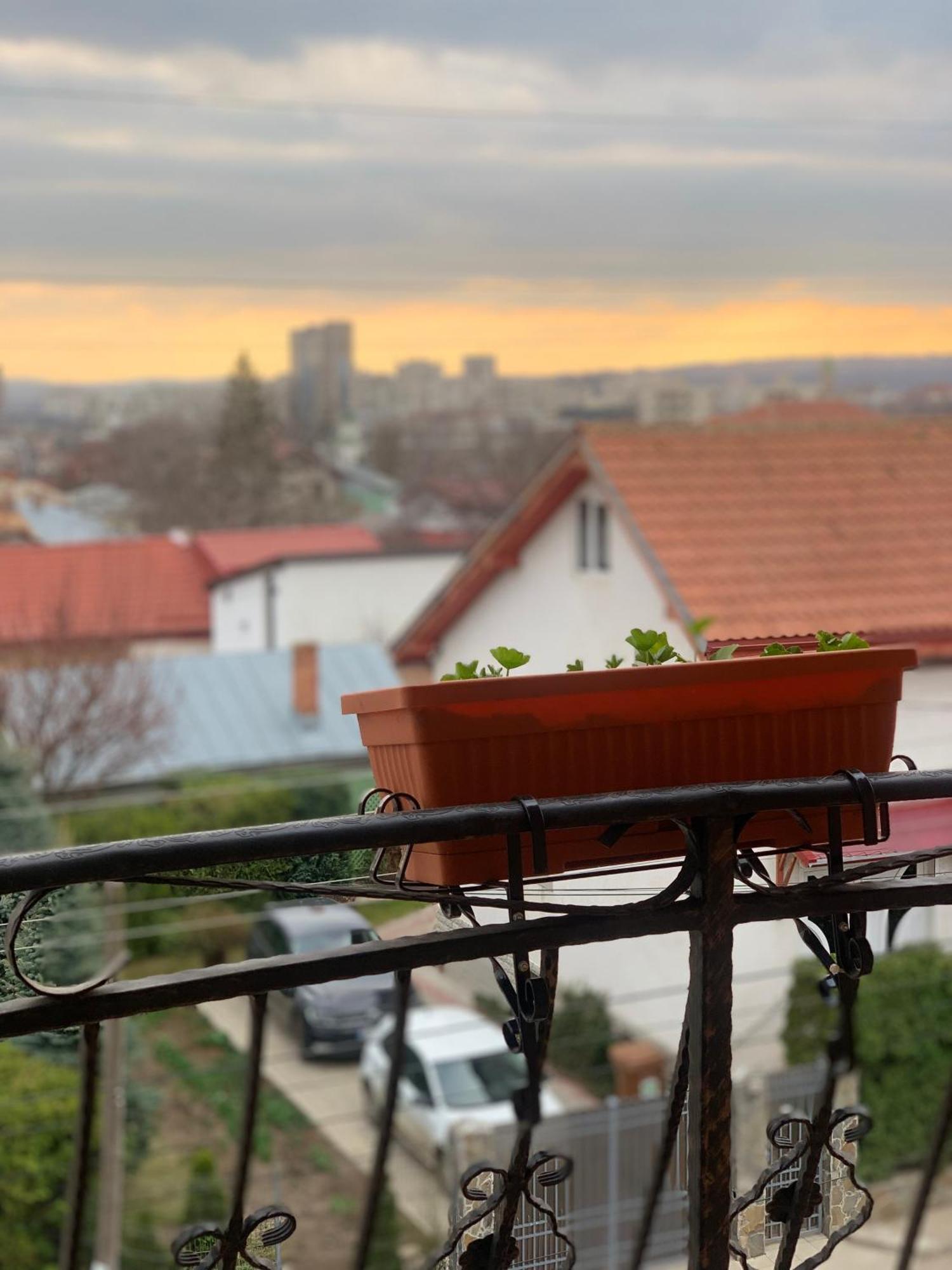 Casa Famous Leilighet Iasi Eksteriør bilde